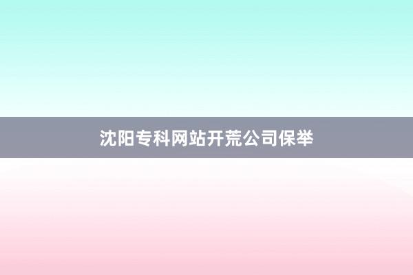 沈阳专科网站开荒公司保举