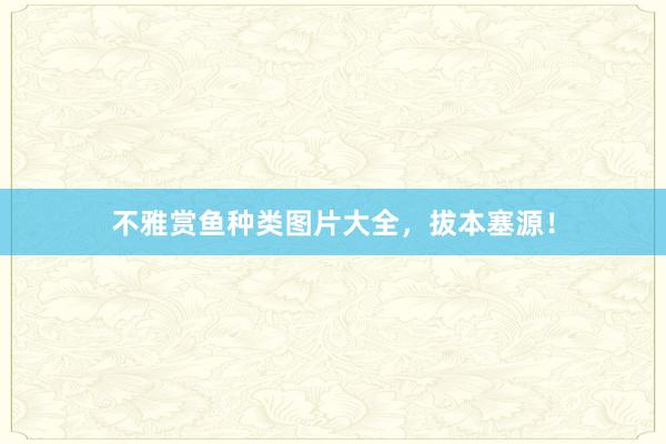 不雅赏鱼种类图片大全,拔本塞源!